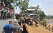 sri_lanka_2014_oocc_tour_124_20140412_1595119400