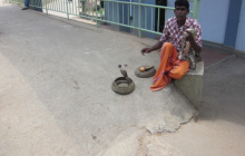 sri_lanka_2014_oocc_tour_125_20140412_1454081428