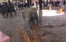 sri_lanka_2014_oocc_tour_134_20140412_1246401278
