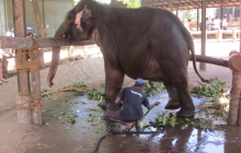 sri_lanka_2014_oocc_tour_135_20140412_1813869943
