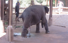 sri_lanka_2014_oocc_tour_136_20140412_1564408072
